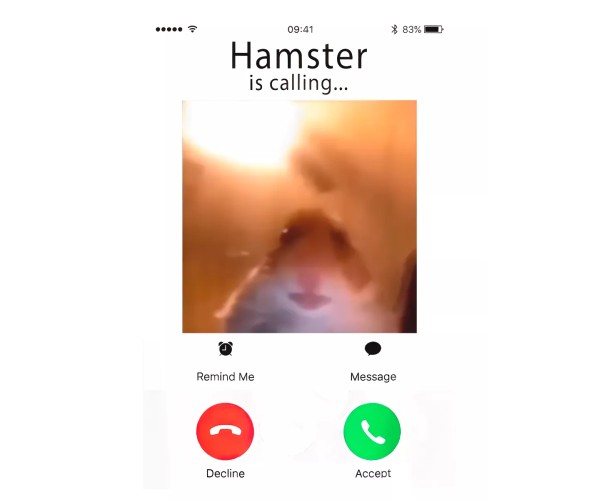 Шоппер мем хомяк смотрит в камеру звонит hamster calling